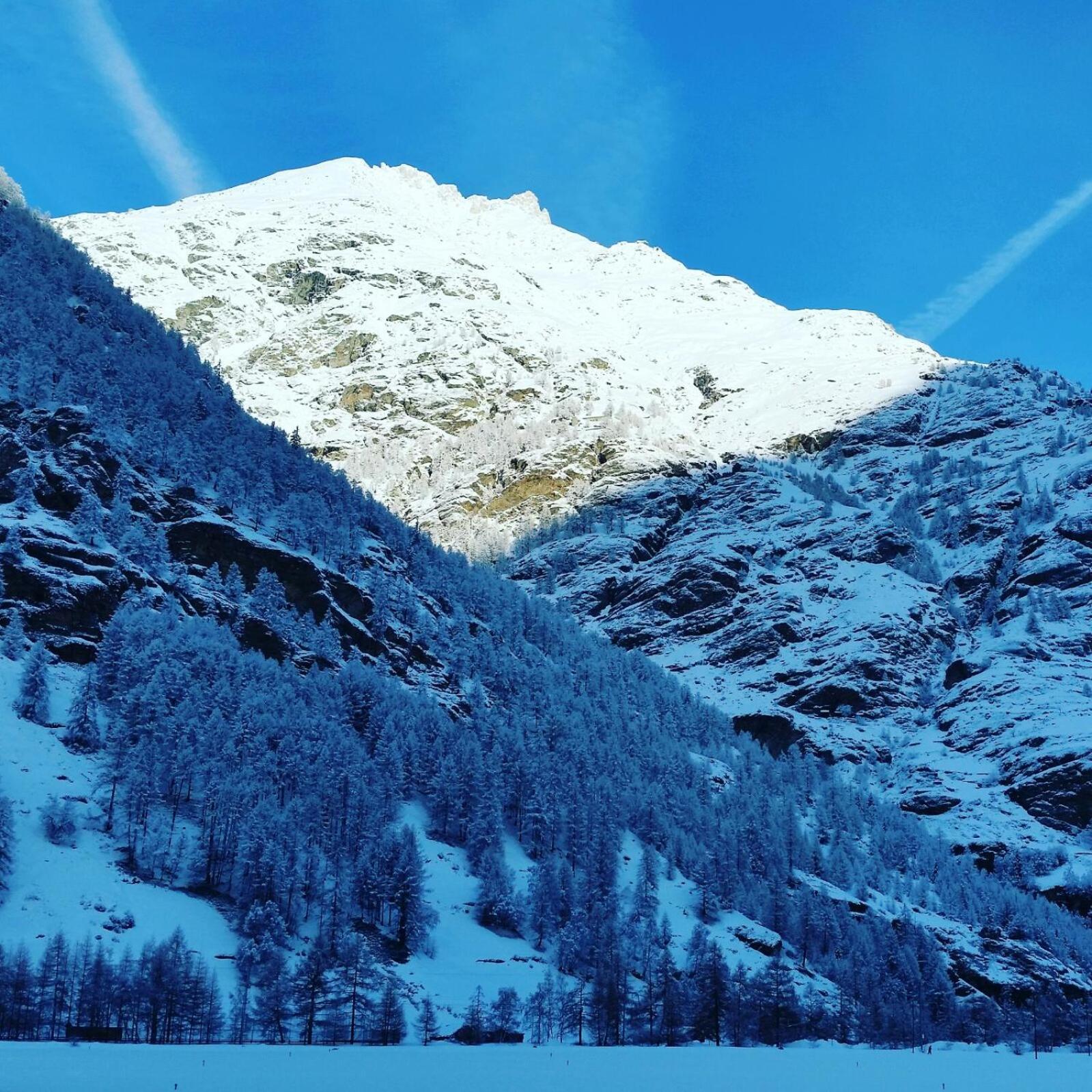 Monte Rosa Taesch, Apartments Mit Wellness Bereich Eksteriør bilde